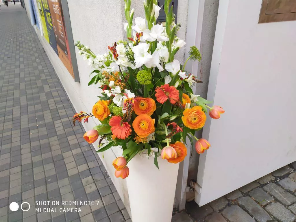 xiaomi redmi note 7 fotografie kvetiny
