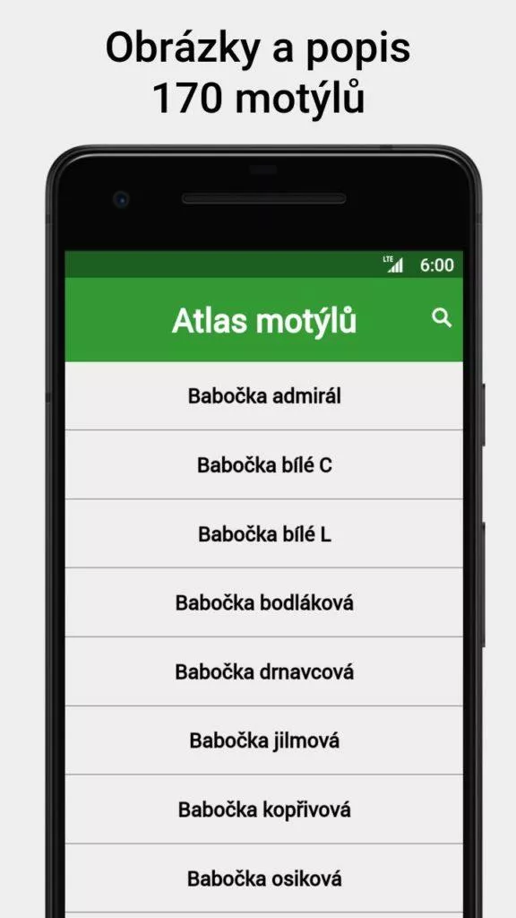 atlas motylu 1 1