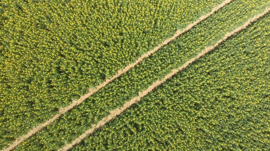 Hubsan Zino fotografie z dronu cesta