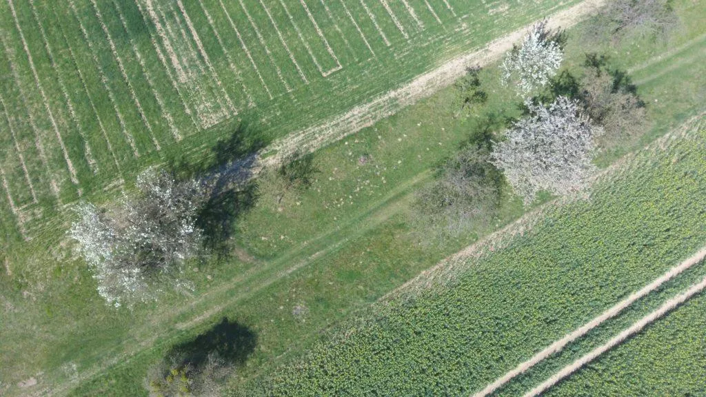 hubsan zino fotografie z dronu krajina