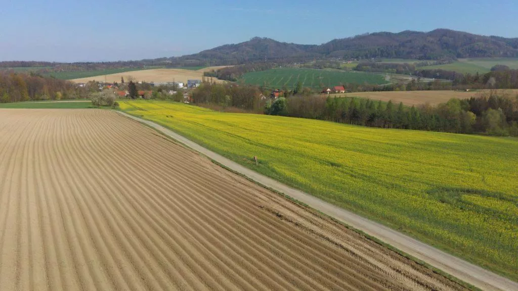 hubsan zino fotografie z dronu krajina s repkou