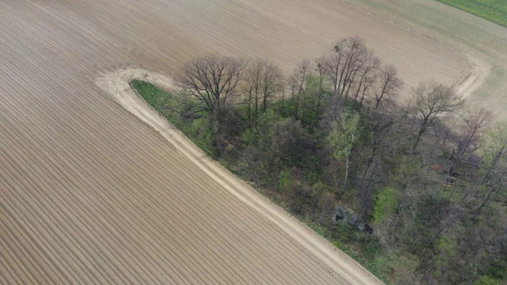 hubsan zino fotografie z dronu stromy na jare