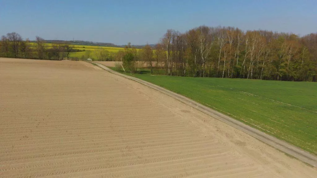 hubsan zino fotografie z dronu stromy u pole