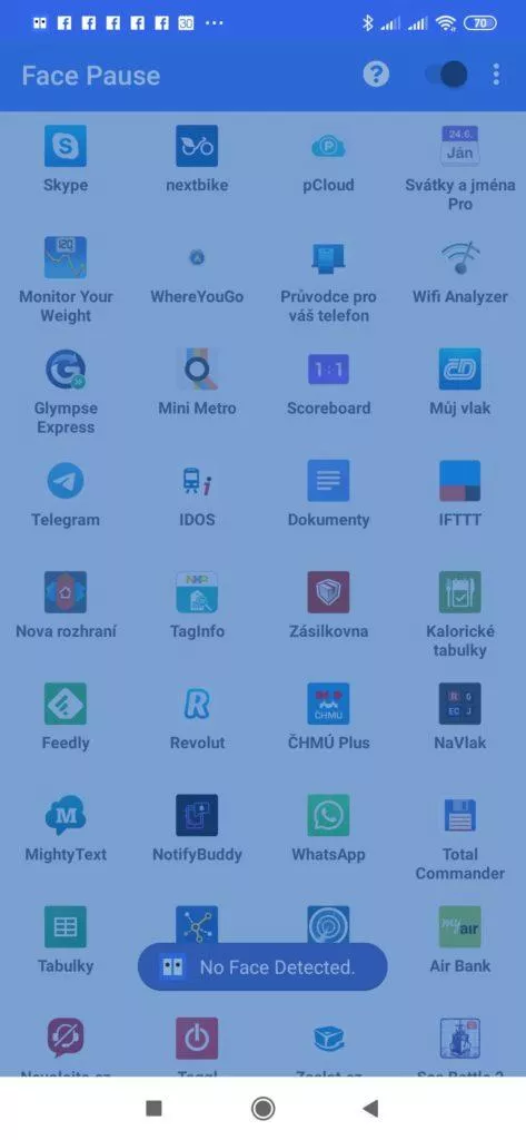Face Pause nevidí obličej