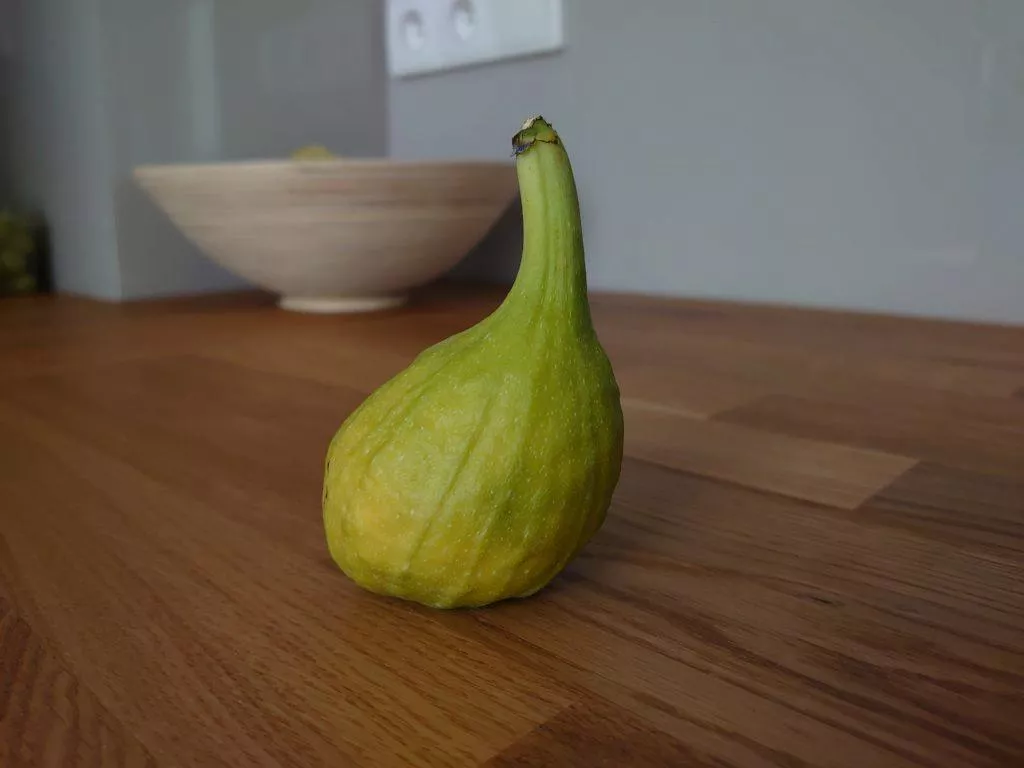 sony xperia 1 test foto