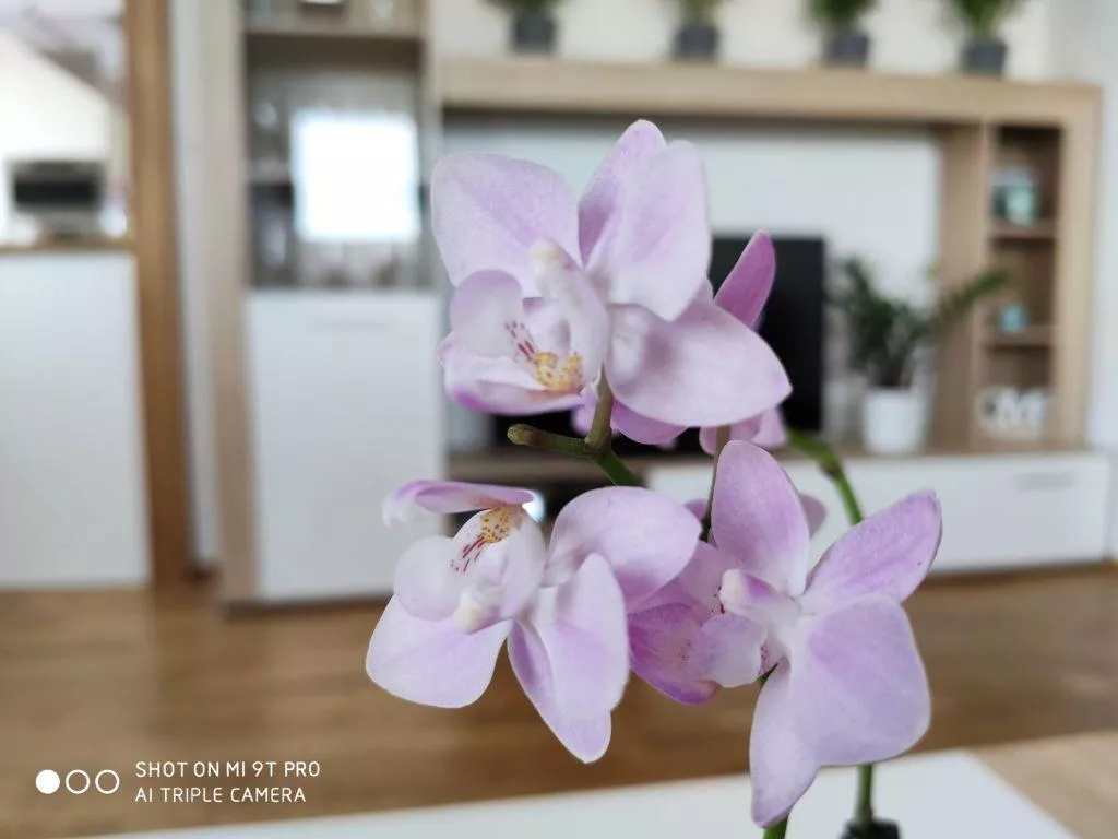 xiaomi mi 9t pro foto 1