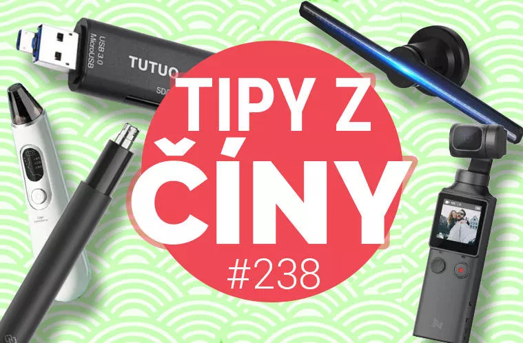 tipy z ciny fimi palm a