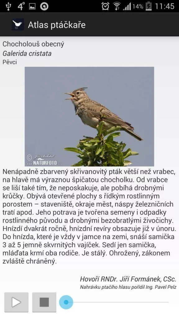 Atlas Ptáčkaře Free - pro ornitology