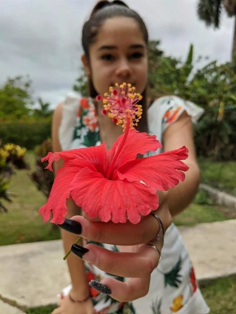 pixel 4a recenze fotoaparátu
