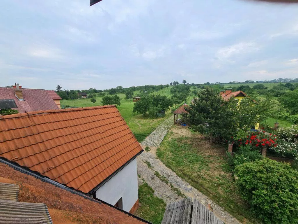 zahrada širokoúhlý Samsung Galaxy S20