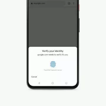 potvrzení plateb otiskem Google Chrome