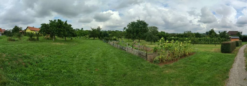 panorama OnePlus Nord