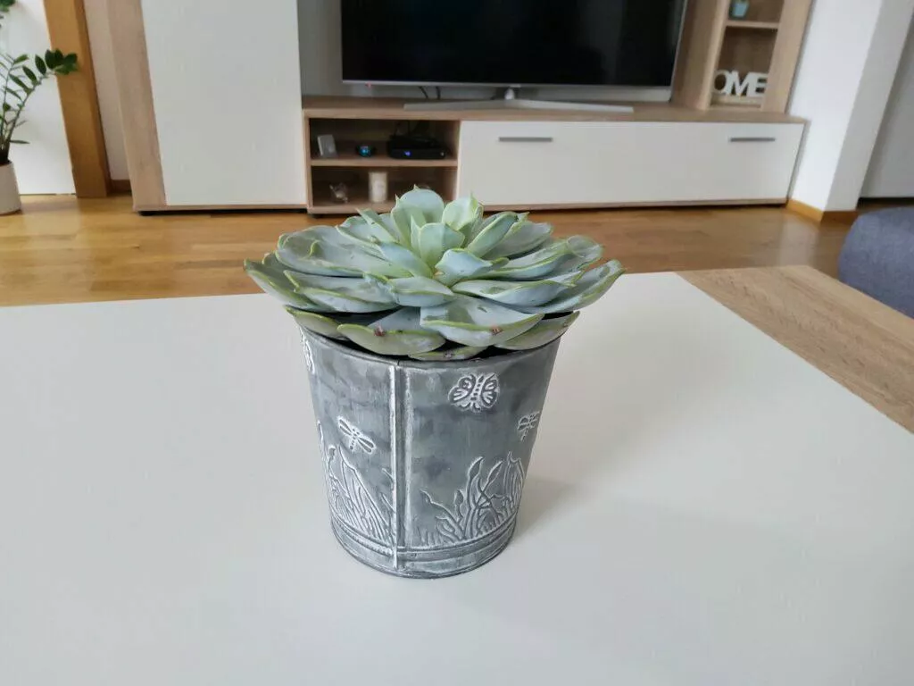 samsung galaxy tab s7 foto 1