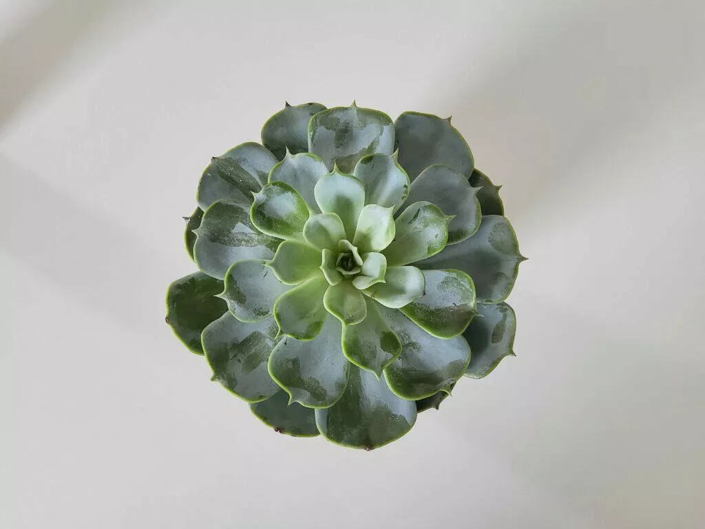 samsung galaxy tab s7 foto 3