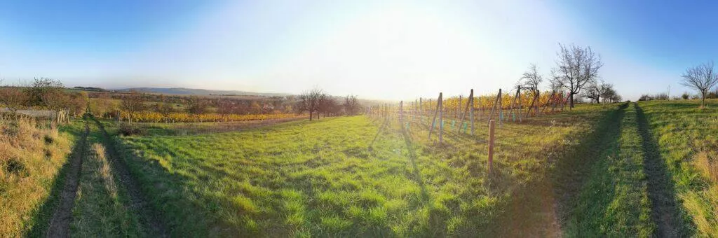 Mate 40 Pro P40 Pro S20 Ultra foto test panorama P40 Pro