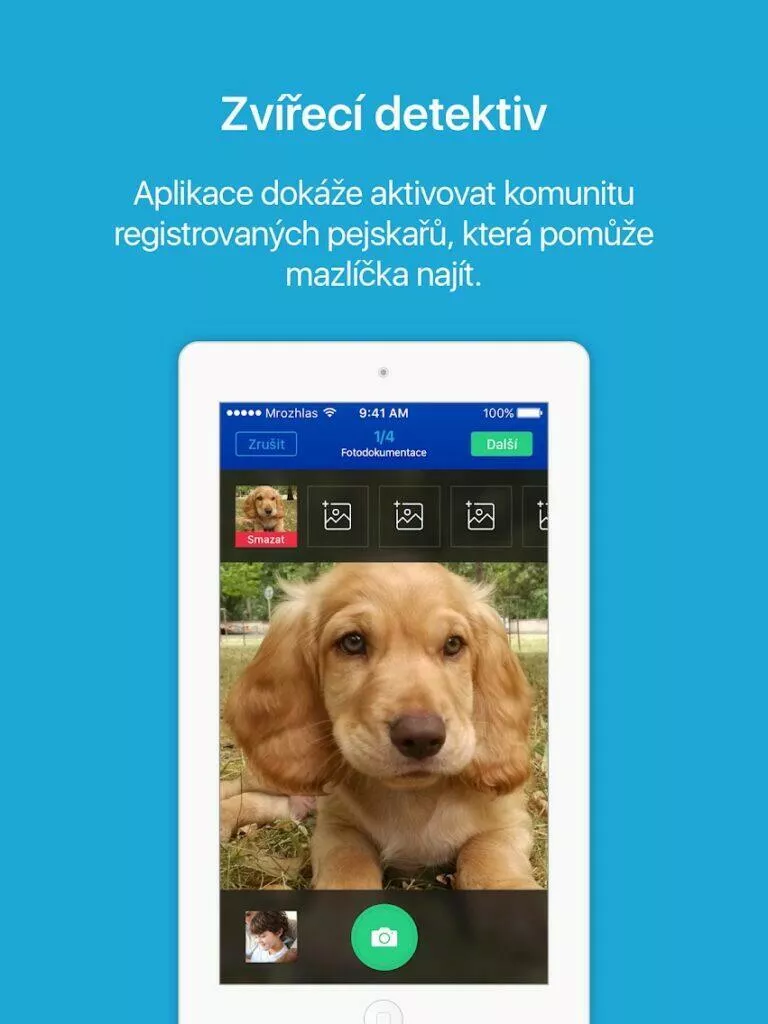 zvireci detektiv