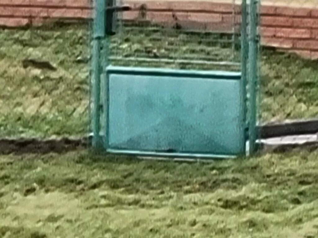 S21 zoom x100