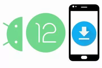Android 12 DP1