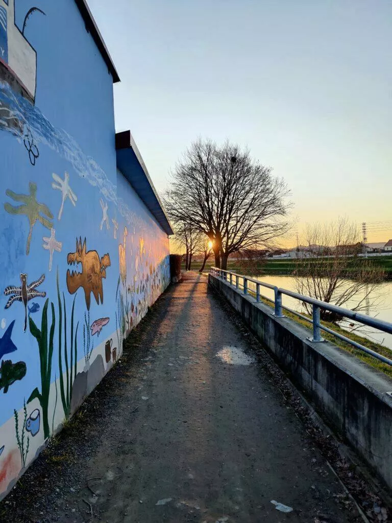 oneplus 9 test fotoaparatu protisvetlo