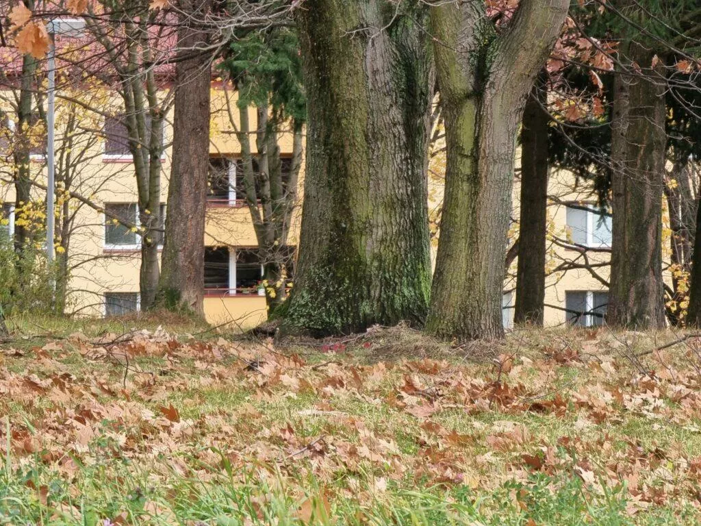 Galaxy S21 Ultra 10x zoom