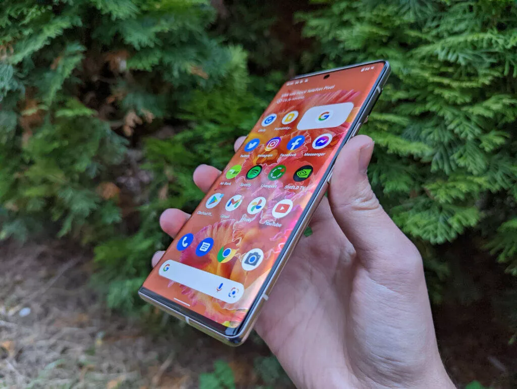 Google Pixel 6 Pro displej