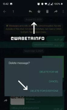 WhatsApp mazání staré zprávy historie Odstranit u všech náhled