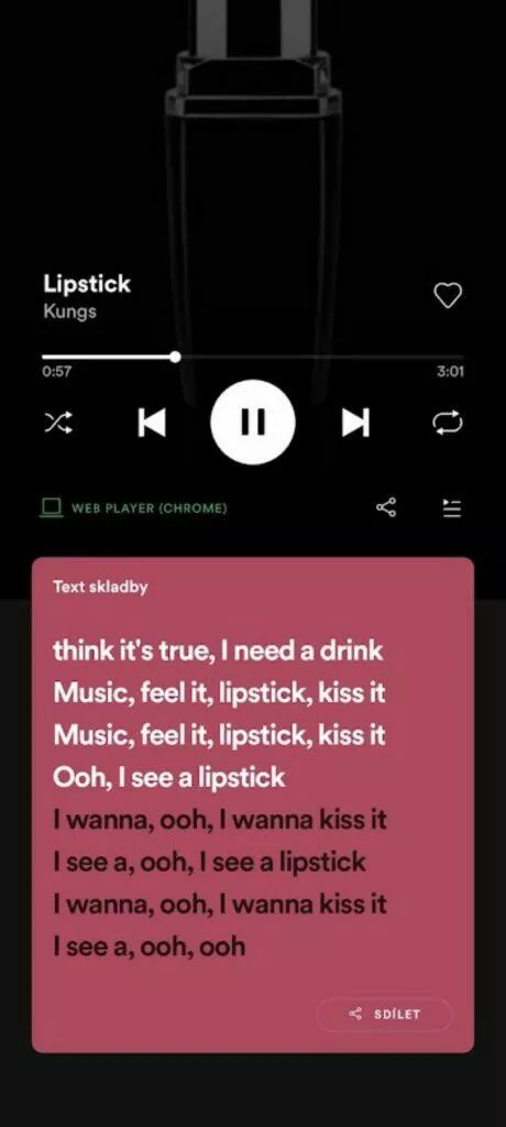 spotify text skladeb karaoke kungs