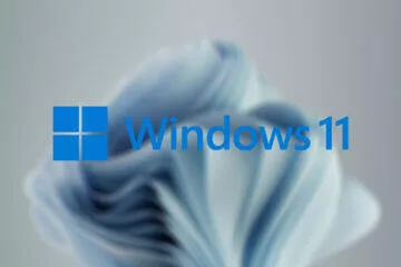 windows 11