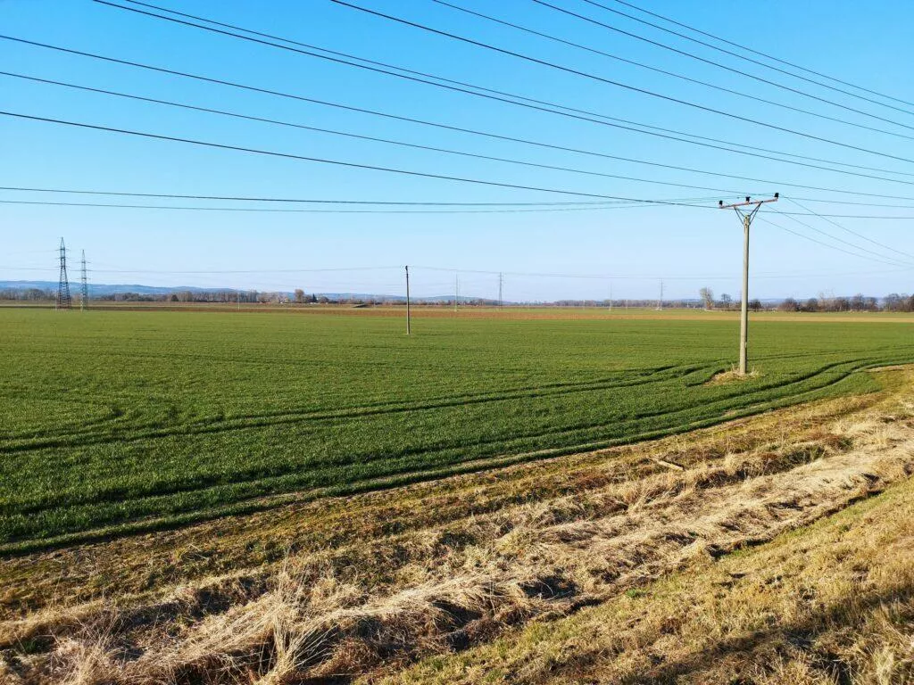 Poco X4 Pro 5G foto pole