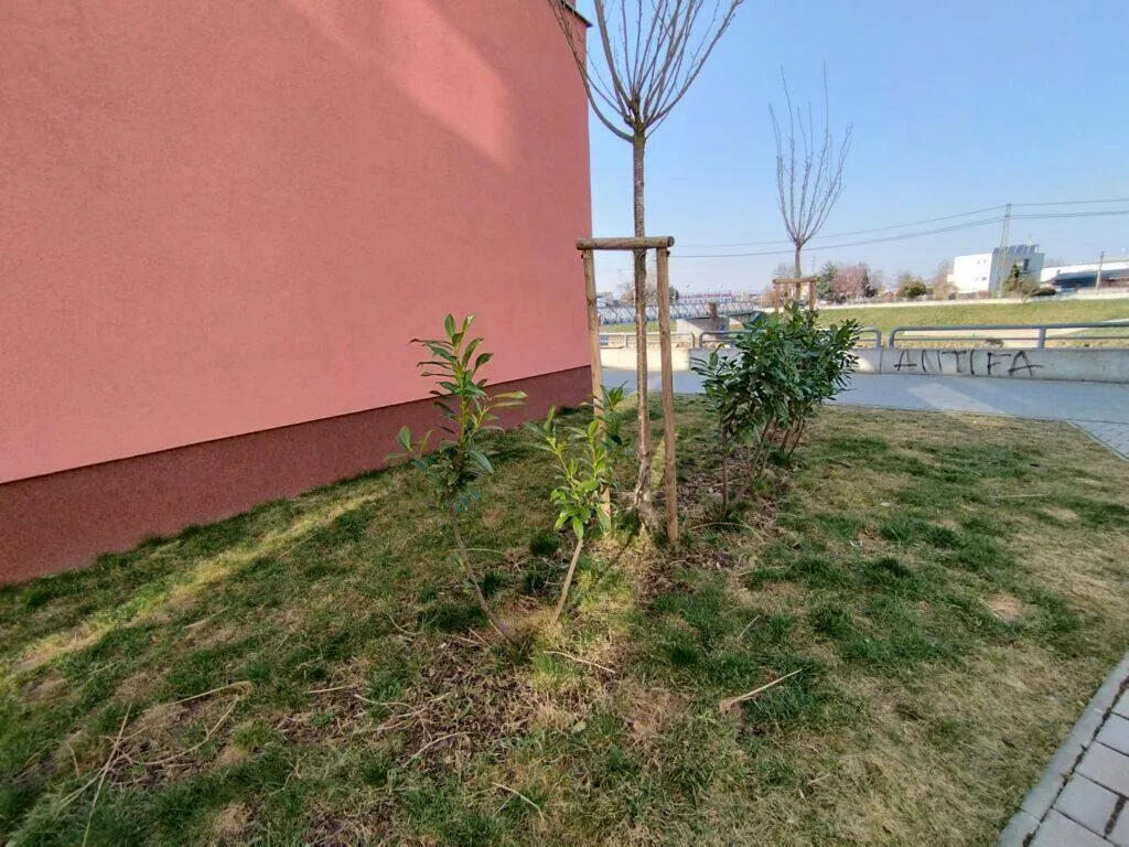 poco x4 pro 5g test ulrasirokeho fotoaparatu 7