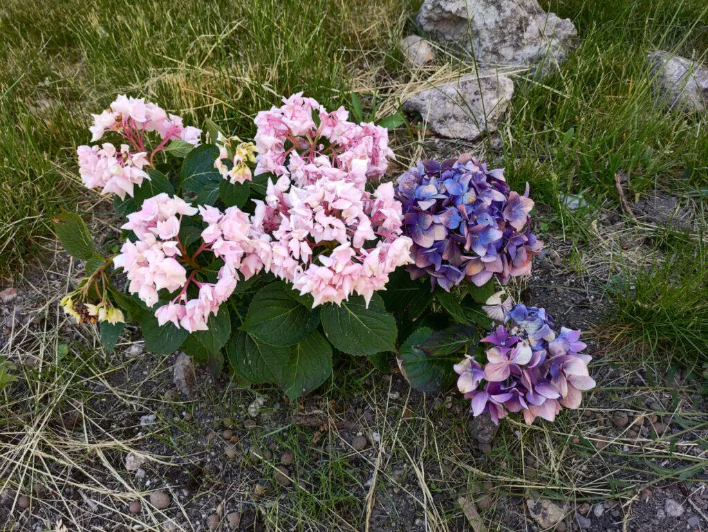 poco f4 gt hlavní fotoaparát