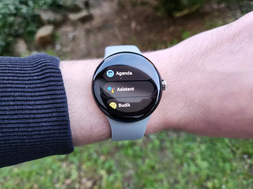 Google Pixel Watch