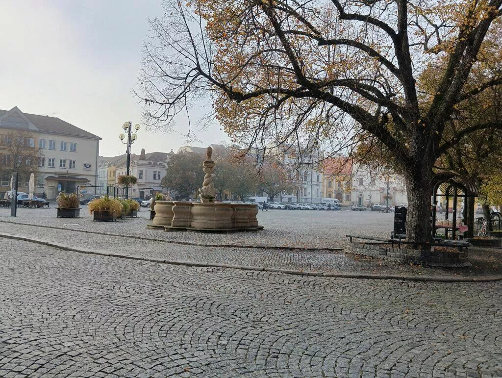 poco m5 foto 2
