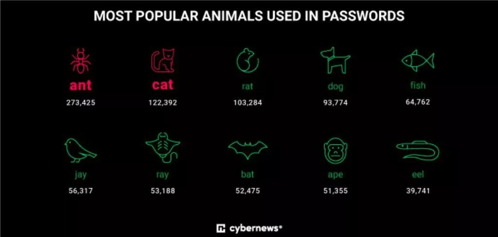 Cybernews nejslabší hesla 2022 zvířata