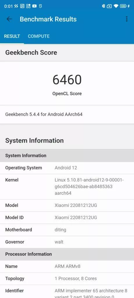 Geekbench compute