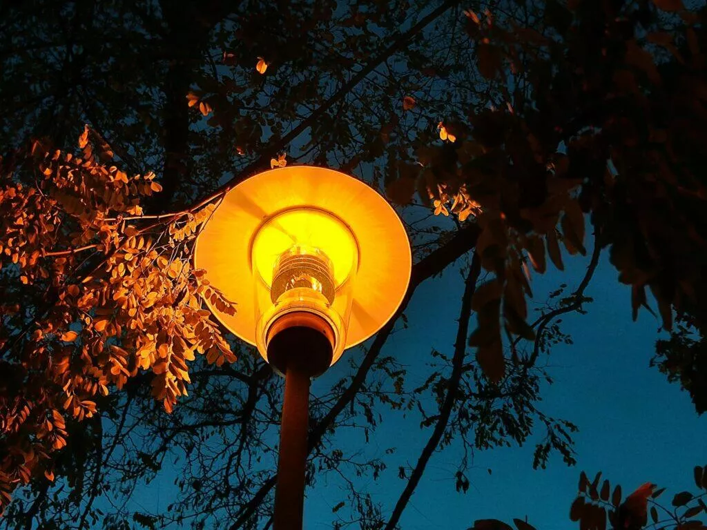 lampa zoom 2x