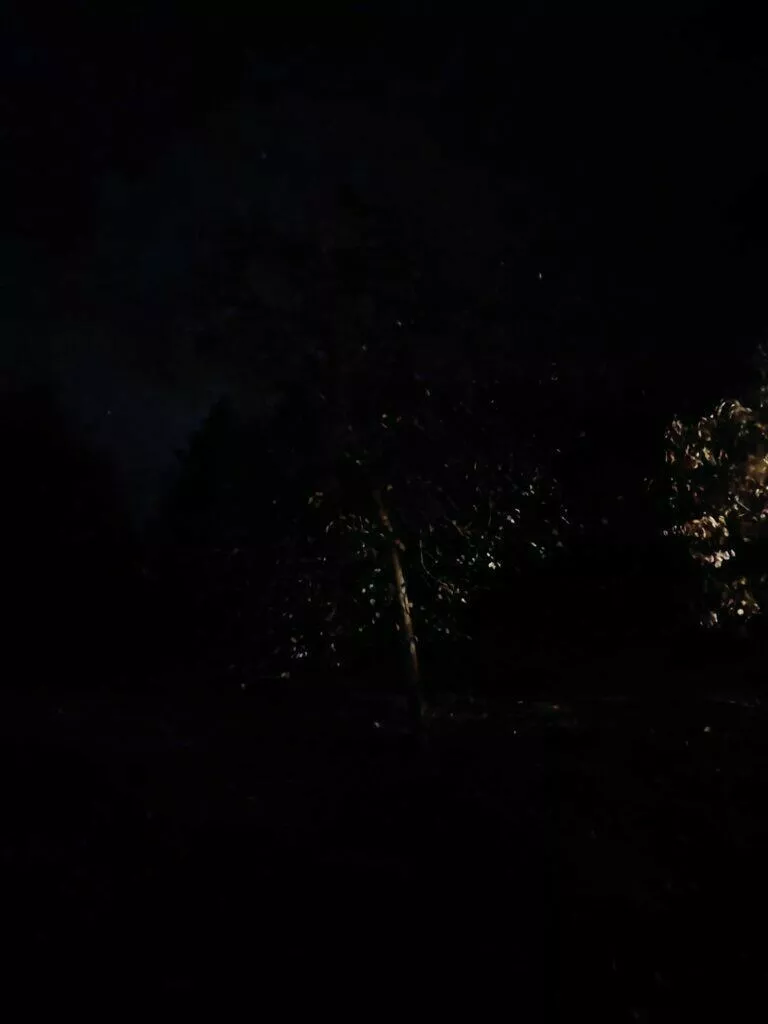 noční režim strom zoom 2x