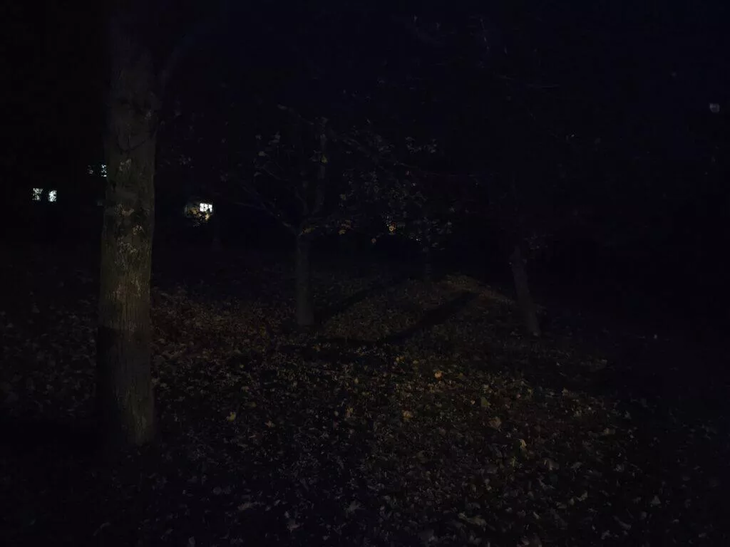 noční režim stromy off