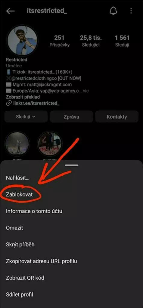 Instagram Příběhy Stories tajné sledování dočasná blokace 3