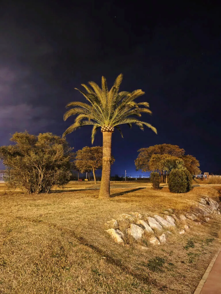 Xiaomi 13 Pro fotografie palma