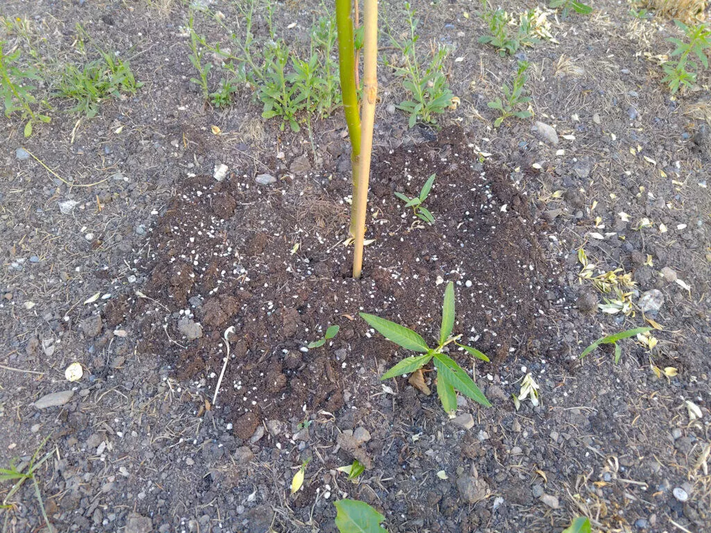 Asus Zenfone 10 fotoaparát hlína
