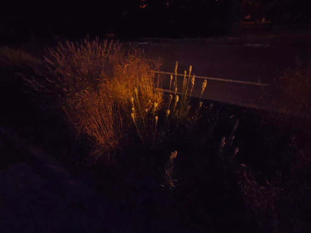 honor 90 foto ultrasiroky 38