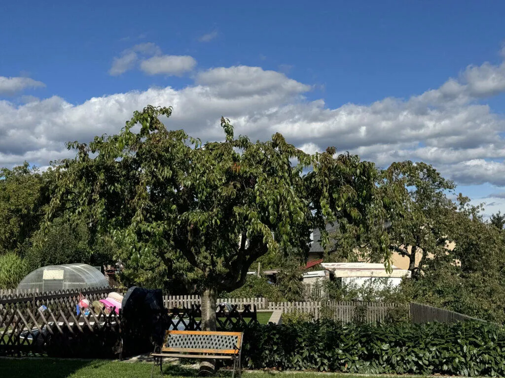 iPhone 15 Pro Max fotoaparát 2x výřez obloha