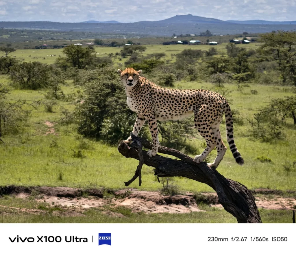 vivo x100 ultra teleobjektiv 4