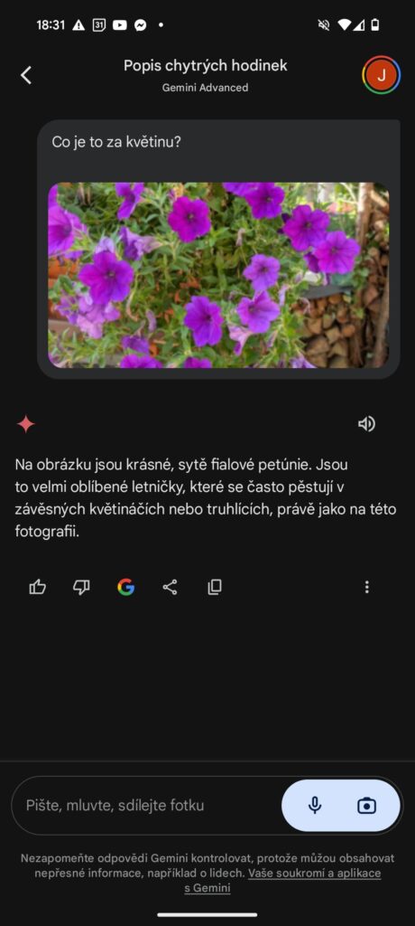 gemini rozpoznání rostliny