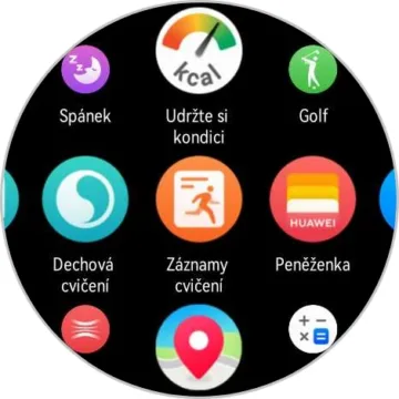 mrizka aplikaci priblizena