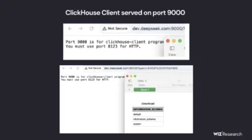 deepseek unik port 9000 1