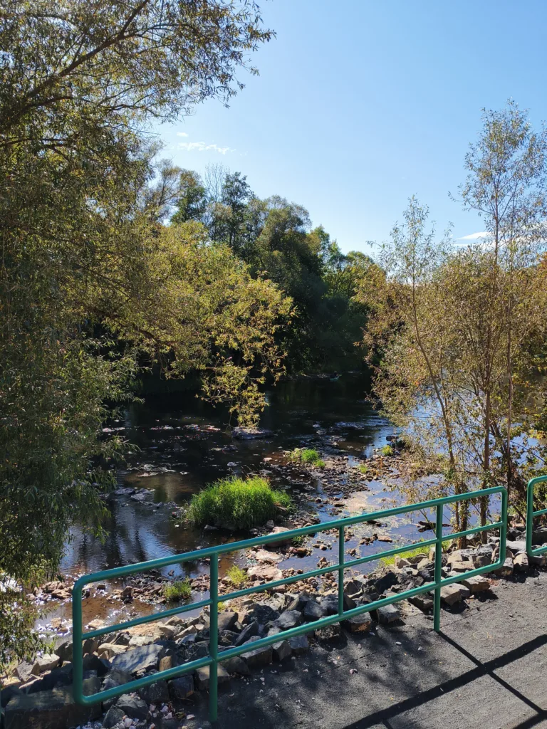 hlavni