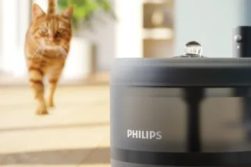 Fontánka Phillips