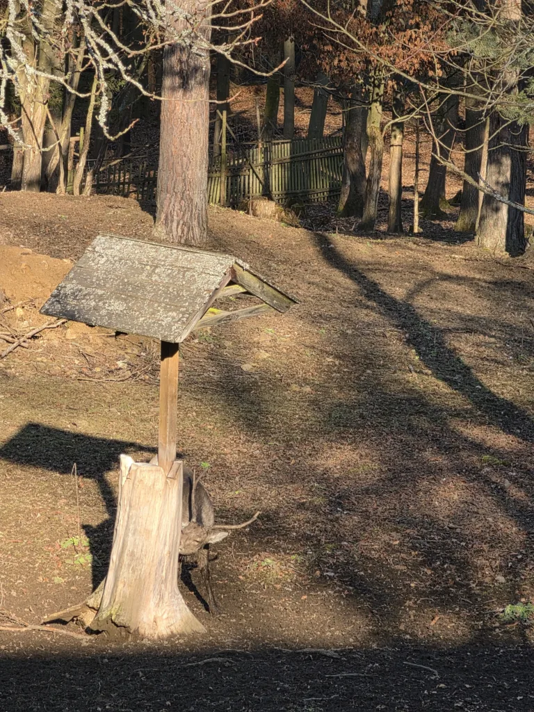 20260304 160559
